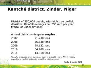 Evergreen Agriculture: feeding Africa's poorest, sustainably