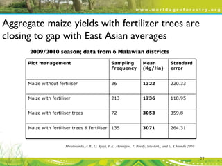 Evergreen Agriculture: feeding Africa's poorest, sustainably