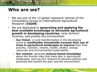 Evergreen Agriculture: feeding Africa's poorest, sustainably