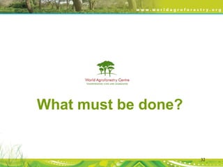 Evergreen Agriculture: feeding Africa's poorest, sustainably