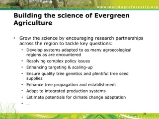 Evergreen Agriculture: feeding Africa's poorest, sustainably