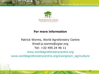 Evergreen Agriculture: feeding Africa's poorest, sustainably