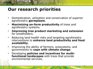 Evergreen Agriculture: feeding Africa's poorest, sustainably