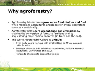 Evergreen Agriculture: feeding Africa's poorest, sustainably