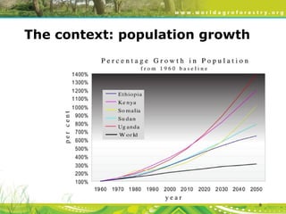 Evergreen Agriculture: feeding Africa's poorest, sustainably