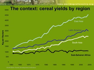 Evergreen Agriculture: feeding Africa's poorest, sustainably