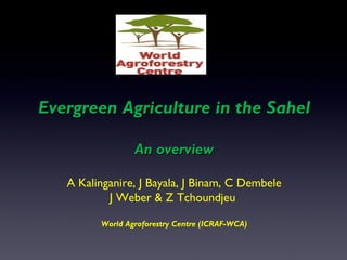 Evergreen Agriculture in the SahelEvergreen Agriculture in the Sahel
An overviewAn overview
A Kalinganire, J Bayala, J Binam, C Dembele
J Weber & Z Tchoundjeu
World Agroforestry Centre (ICRAF-WCA)
 