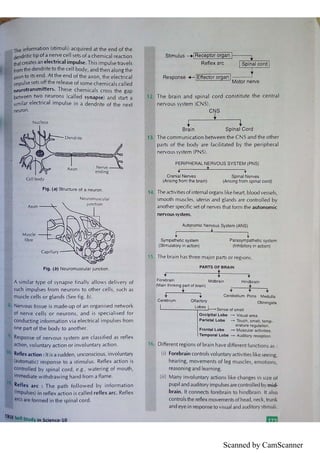 Evergreen Guide Science Evergreen science class X problems 2017 updated | PDF