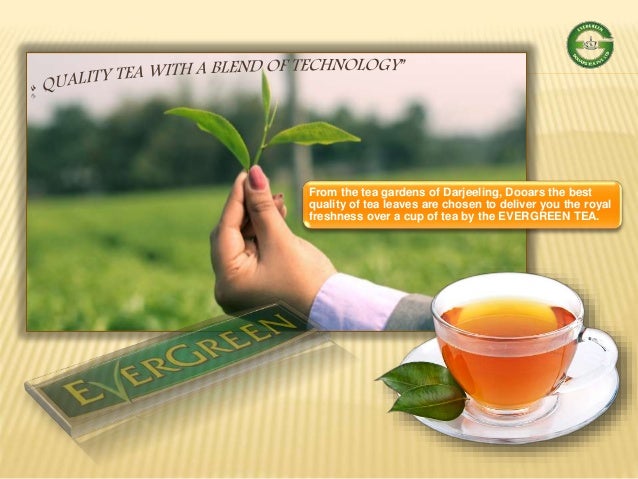 Evergreen Dooars Tea