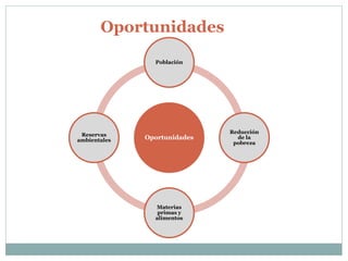 Oportunidades 
Población 
Oportunidades 
Reducción 
de la 
pobreza 
Materias 
primas y 
alimentos 
Reservas 
ambientales 
 