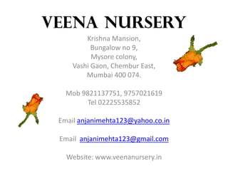 VEENA NURSERY
Krishna Mansion,
Bungalow no 9,
Mysore colony,
Vashi Gaon, Chembur East,
Mumbai 400 074.
Mob 9821137751, 9757021619
Tel 02225535852
Email anjanimehta123@yahoo.co.in
Email anjanimehta123@gmail.com
Website: www.veenanursery.in
 