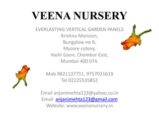 VEENA NURSERY
EVERLASTING VERTICAL GARDEN PANELS
Krishna Mansion,
Bungalow no 9,
Mysore colony,
Vashi Gaon, Chembur East,
Mumbai 400 074.
Mob 9821137751, 9757021619
Tel 02225535852
Email anjanimehta123@yahoo.co.in
Email anjanimehta123@gmail.com
Website: www.veenanursery.in
 