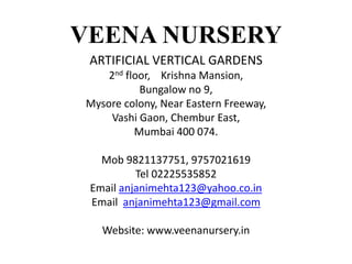 VEENA NURSERY
ARTIFICIAL VERTICAL GARDENS
2nd floor, Krishna Mansion,
Bungalow no 9,
Mysore colony, Near Eastern Freeway,
Vashi Gaon, Chembur East,
Mumbai 400 074.
Mob 9821137751, 9757021619
Tel 02225535852
Email anjanimehta123@yahoo.co.in
Email anjanimehta123@gmail.com
Website: www.veenanursery.in
 