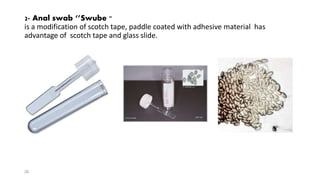 2- Anal swab ‘’Swube "
is a modification of scotch tape, paddle coated with adhesive material has
advantage of scotch tape and glass slide.
26
 