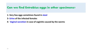 Can we find Entrobius eggs in other specimens?
1- Very few eggs sometimes found in stool
3- Urine of the infected females
4- Vaginal secretion in case of vaginitis caused by the worms
27
 