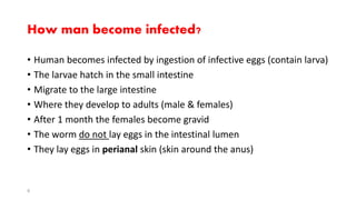 How man become infected?
• Human becomes infected by ingestion of infective eggs (contain larva)
• The larvae hatch in the small intestine
• Migrate to the large intestine
• Where they develop to adults (male & females)
• After 1 month the females become gravid
• The worm do not lay eggs in the intestinal lumen
• They lay eggs in perianal skin (skin around the anus)
9
 