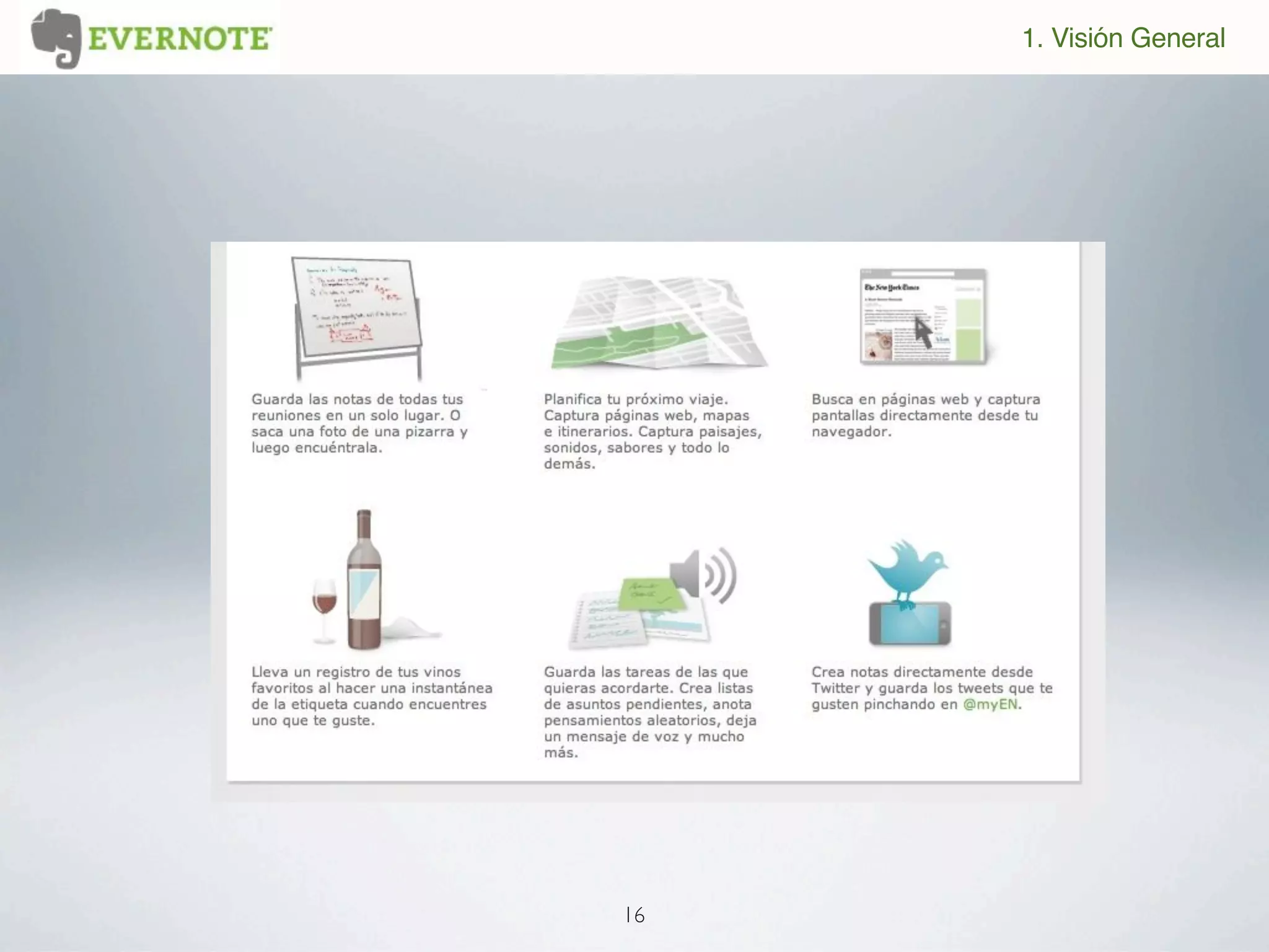 1. Visión General




16
 