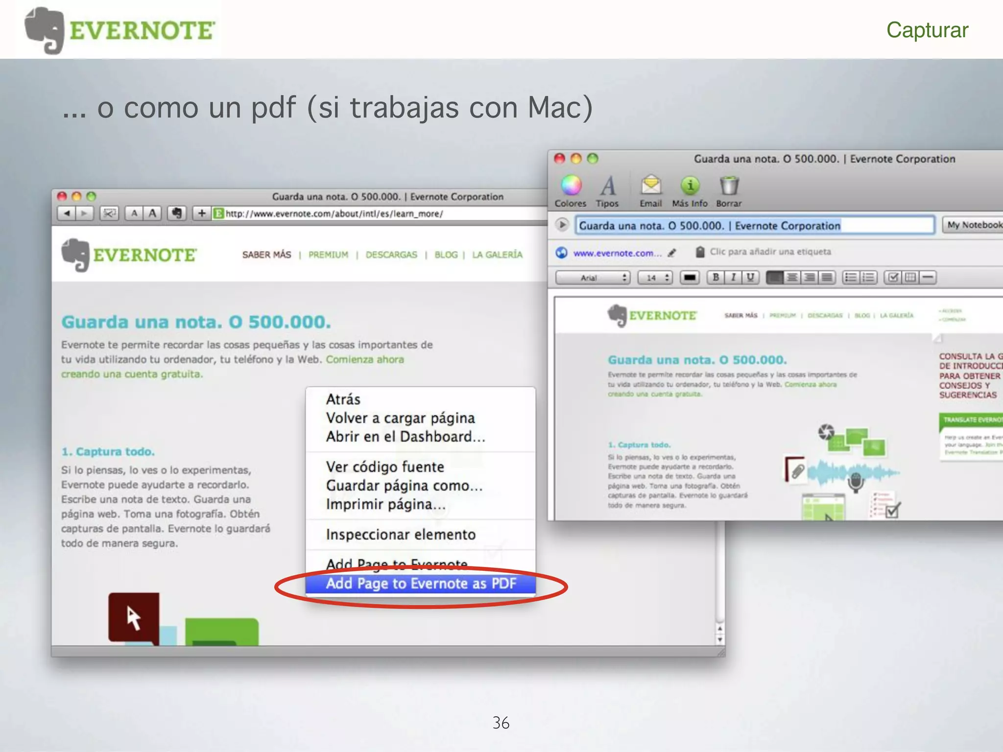 Capturar


... o como un pdf (si trabajas con Mac)




                               36
 