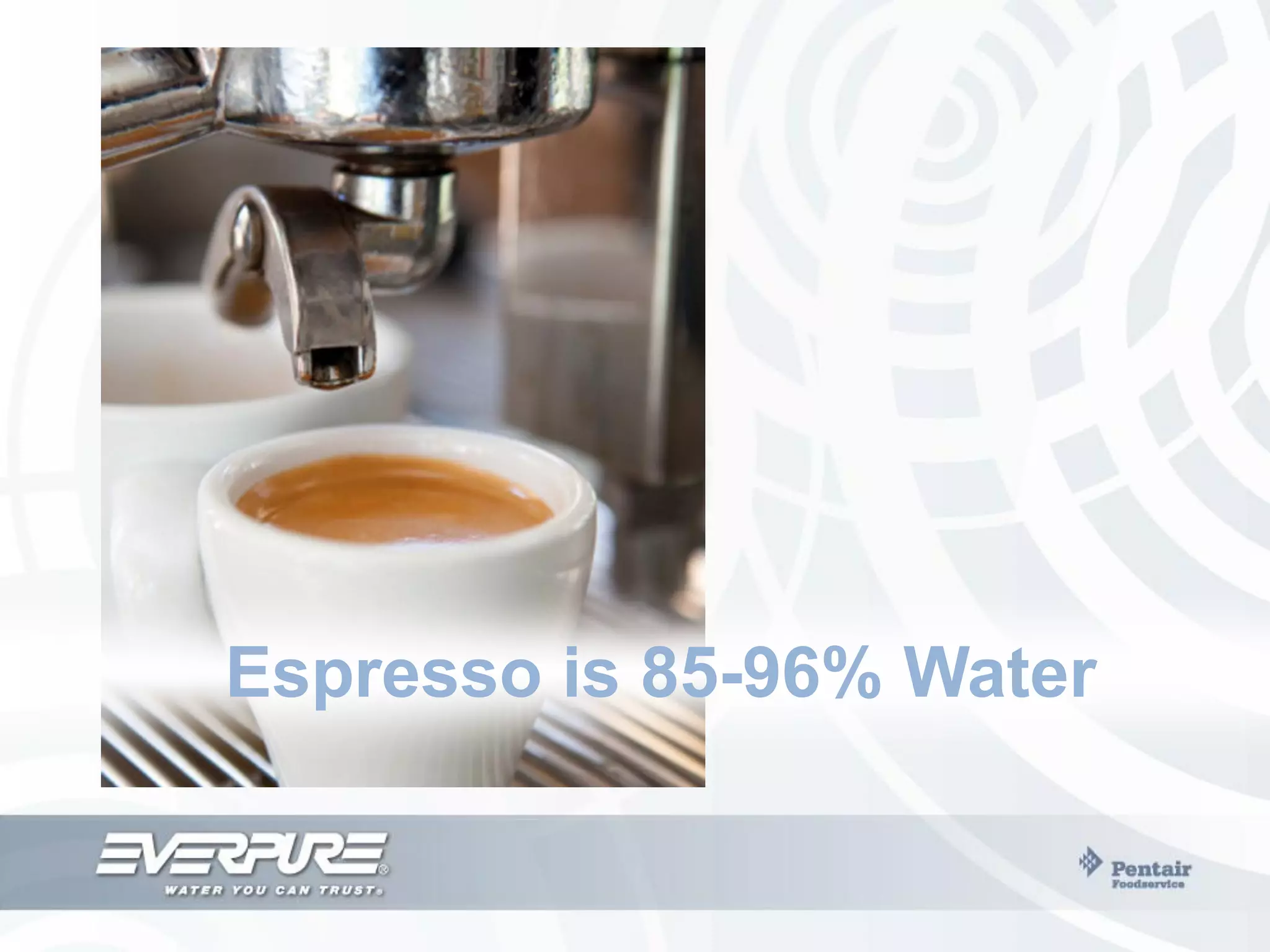 Everpure "Grill" Catalog PPT