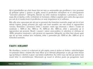 Fondacioni i Rinisë Islame — Cyrih www.islamischen.ch e-mail: info@islamischen.ch 241
Që të përmbledhet ajo çfarë thamë deri më tani, as aminoacidet apo prodhimet e tyre, proteinet
që përbëjnë qelizat e qenieve të gjalla, mund të prodhohen ndonjëherë në të ashtuquajturën
“atmosferë primitive”. Sidoqoftë, faktorët siç është struktura komplekse e proteineve, vetitë e
majta dhe të djathta, si dhe vështirësitë në formimin e lidhjeve peptide janë vetëm disa nga arsyet
pse nuk do të mnden kurrë të prodhohen në asnjë eksperiment në të ardhmen.
Bile edhe nëse supozojmë për një çast se proteinët disi formohen rastësisht, prapë nuk do të ketë
ndonjë kuptim, pasiqë proteinet për asgjë nuk kanë mundësi: ato nuk mund të rigjenerohen
vetvetiu. Sintetizimi i proteineve është e mundur vetëm nga informata e dhënë e kodur në
molekulat e ADN-së dhe ARN-së. Pa ADN-në dhe ARN-në, është e pamundur që të
rigjenerohen një proteinë. Rendi i veçantë i njëzet aminoacideve të ndryshme të shifruara në
ADN, përcakton strukturën e çdo proteini në organizëm. Sidoqoftë, siç është bërë shumë qartë
nga ata që kanë studiuar këto molekula, është e pamundur për ADN-në dhe ARN-në që të
formohen rastësisht.
FAKTI I KRIJIMIT
Me shembjen e teorisë së evolucionit në çdo aspekt, emra të njohur në fushën e mikrobiologjisë
sot pranojnë faktin e krijimit dhe kanë filluar që të mbrojnë pikëpamjen se çdo gjë është krijuar
nga një Krijues i dijshëm si pjesë i një krijimi madhështor. Ky është veçse një fakt që njerëzit nuk
mund lehtë t’a nënvleftësojnë. Shkenctarët që mund të afrohen punës pa paragjykime kanë
 