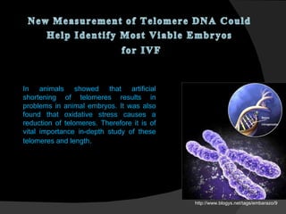 In animals showed that artificial shortening of telomeres results in problems in animal embryos. It was also found that oxidative stress causes a reduction of telomeres. Therefore it is of vital importance in-depth study of these telomeres and length . http://www.blogys.net/tags/embarazo/9 