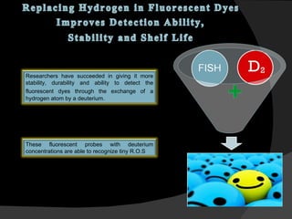Researchers have succeeded in giving it more stability, durability and ability to detect the fluorescent dyes through the exchange of   a hydrogen atom by a deuterium. These fluorescent probes with deuterium concentrations are able to recognize tiny R.O.S 