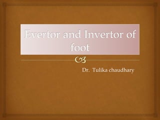 Evertor and invertor of foot | PPTX