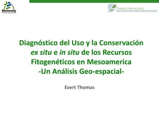 Diagnóstico del Uso y la Conservación
   ex situ e in situ de los Recursos
   Fitogenéticos en Mesoamerica
      -Un Análisis Geo-espacial-
             Evert Thomas
 
