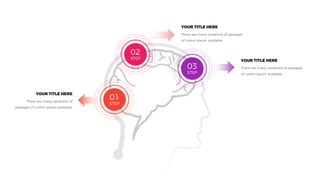 01
STEP
02
STEP
03
STEP
YOUR TITLE HERE
YOUR TITLE HERE
YOUR TITLE HERE
 