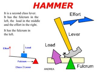 It is a second class lever. It has the fulcrum in the  left, the  load in the middle and the effort in the right. It has the fulcrum in the left. ANDREA 