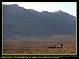 Shepherds herd their sheep as Dutch soldiers of Charlie Air assault patrol in Chora valley in southern Uruzgan province on January 22, 2010.  The Netherlands Royal Army leads the NATO/ISAF joint task force in this southern province of Afghanistan 