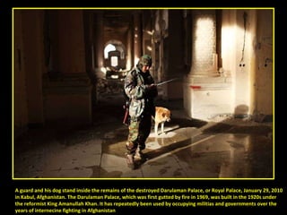 A guard and his dog stand inside the remains of the destroyed Darulaman Palace, or Royal Palace, January 29, 2010  in Kabul, Afghanistan. The Darulaman Palace, which was first gutted by fire in 1969, was built in the 1920s under  the reformist King Amanullah Khan. It has repeatedly been used by occupying militias and governments over the  years of internecine fighting in Afghanistan 