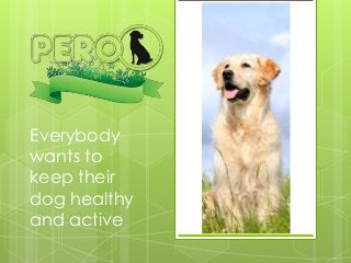 Everybody
wants to
keep their
dog healthy
and active
 