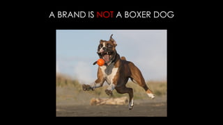 A BRAND IS NOT A BOXER DOG
 
