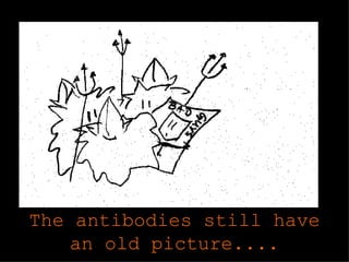 The antibodies still have an old picture....