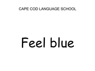 CAPE COD LANGUAGE SCHOOL<br />Feel blue<br />