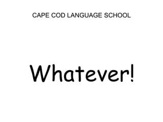 CAPE COD LANGUAGE SCHOOL<br />Whatever!<br />