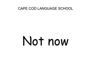 CAPE COD LANGUAGE SCHOOL<br />Not now<br />