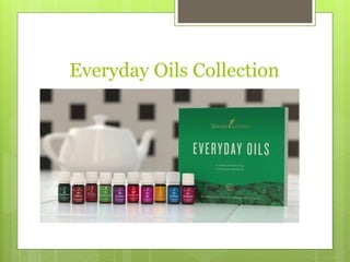 Everyday Oils Collection
 