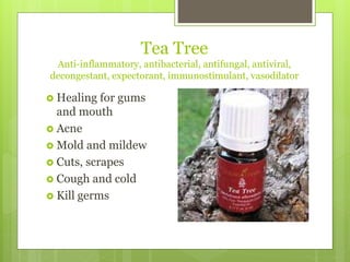 Tea Tree
Anti-inflammatory, antibacterial, antifungal, antiviral,
decongestant, expectorant, immunostimulant, vasodilator
 Healing for gums
and mouth
 Acne
 Mold and mildew
 Cuts, scrapes
 Cough and cold
 Kill germs
 