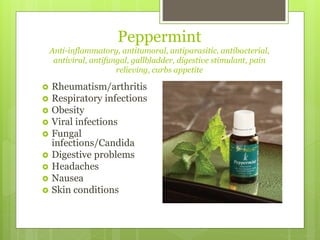 Peppermint
Anti-inflammatory, antitumoral, antiparasitic, antibacterial,
antiviral, antifungal, gallbladder, digestive stimulant, pain
relieving, curbs appetite
 Rheumatism/arthritis
 Respiratory infections
 Obesity
 Viral infections
 Fungal
infections/Candida
 Digestive problems
 Headaches
 Nausea
 Skin conditions
 