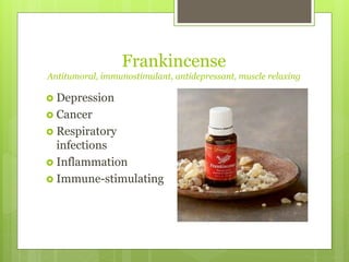 Frankincense
Antitumoral, immunostimulant, antidepressant, muscle relaxing
 Depression
 Cancer
 Respiratory
infections
 Inflammation
 Immune-stimulating
 