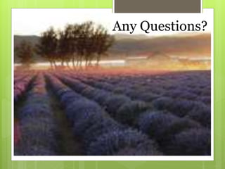 Any Questions?
 
