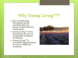 Why Young Living™?
 Key to producing
therapeutic grade
essential oils is to
preserve their delicate
compounds.
 Young Living™ owns
thousands of acres of
sustainable farmland
worldwide.
 Young Living™is
currently doing business
in over 20 different
countries.
 