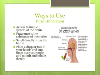 Ways to Use
Direct Inhalation
 Access to limbic
system of the brain
 Fragrance is the
substance of memories
 Smell directly from the
bottle
 Place a drop or two in
your hands and cup
them over your nose
and mouth and inhale
deeply
 