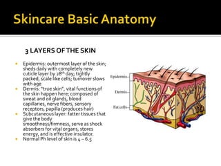 Everyday Skincare Lecture | PPTX