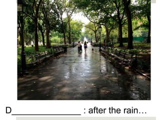 D______________ : after the rain…
 