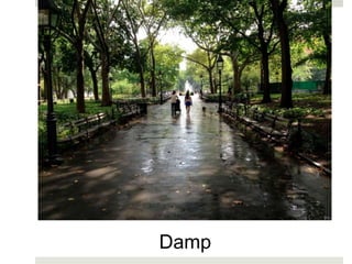 Damp
 