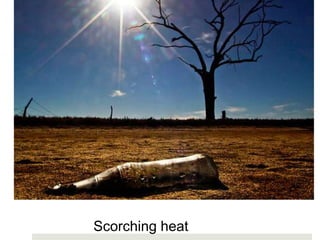 Scorching heat
 