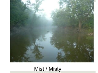 Mist / Misty
 